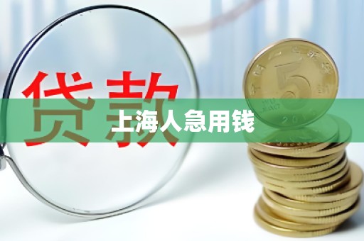 上海人急用钱