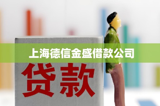  上海德信金盛借款公司