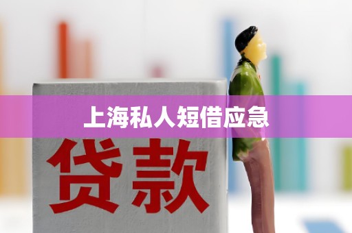 上海私人短借应急