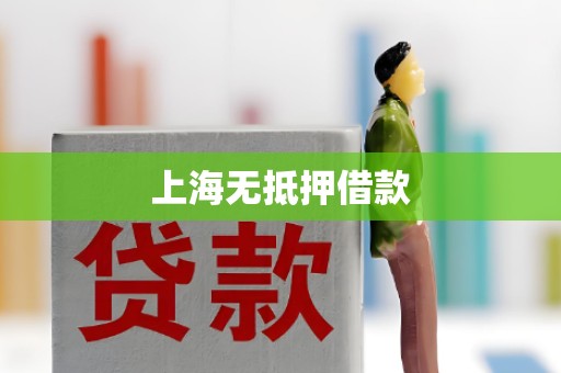上海无抵押借款 上海无抵押借款