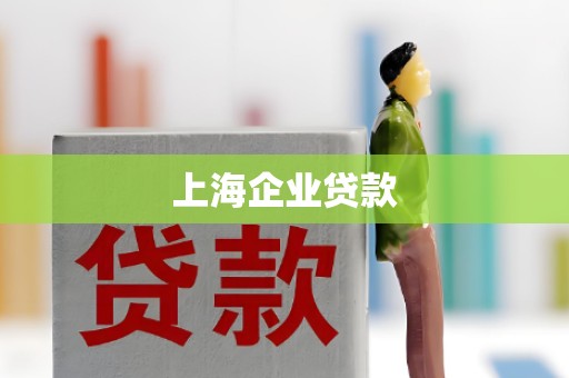 上海企业贷款 上海企业贷款