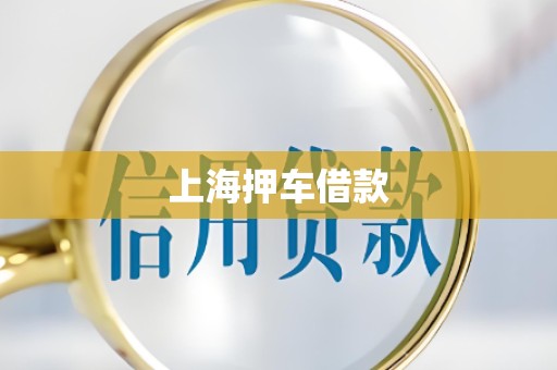 上海押车借款 上海押车借款